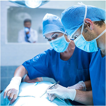 Be Bold Counselling Services